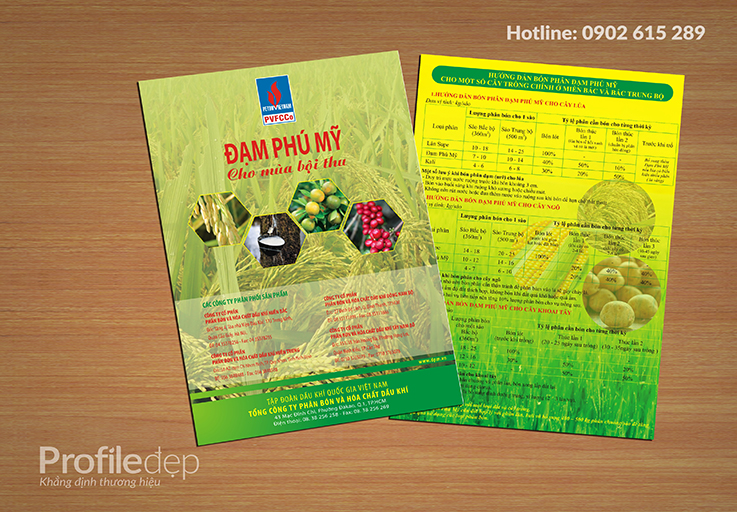 Phân biệt profile, catalogue và brochure 